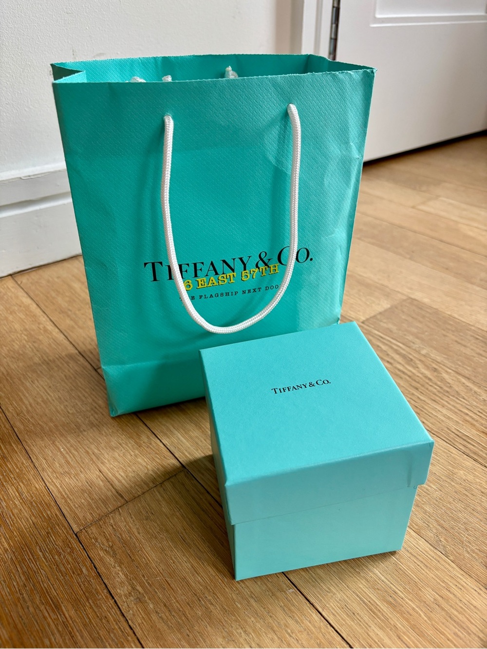 TIFFANY & CO bag and box